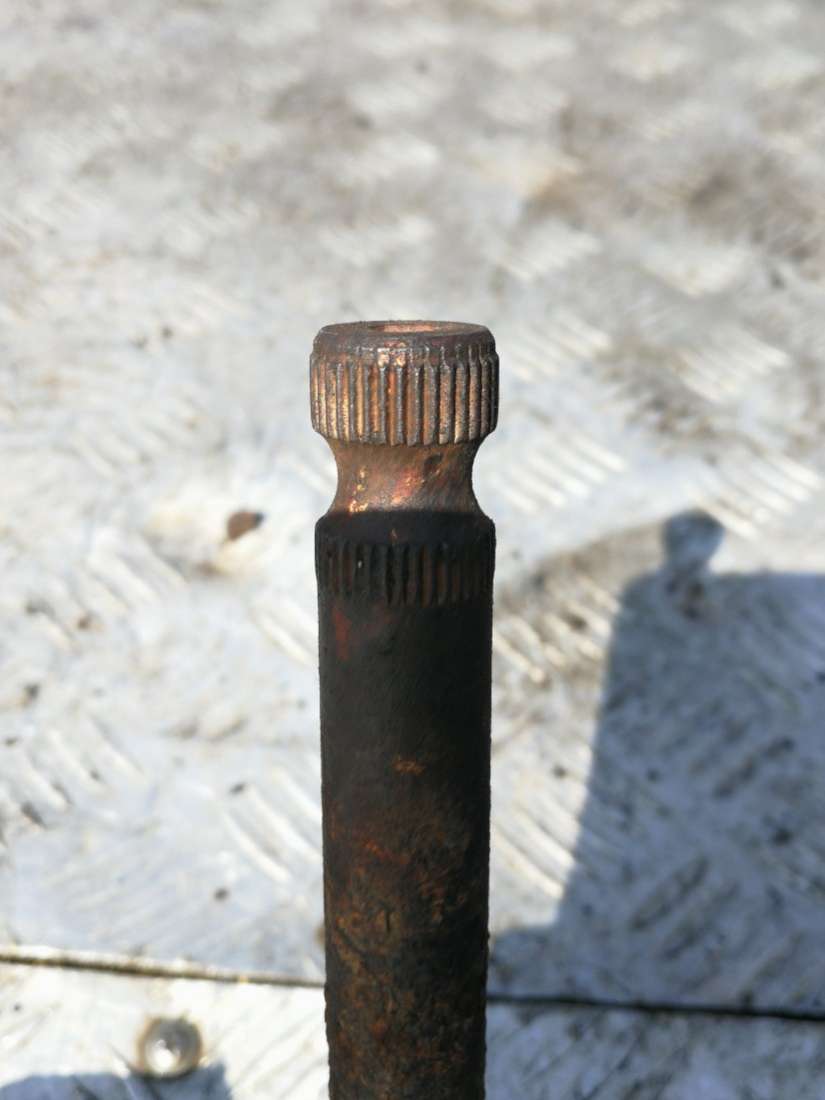 thumb