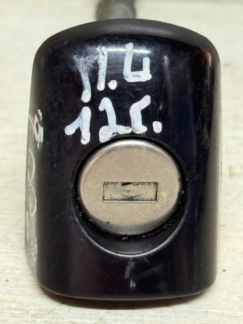 Личинка дверного замка